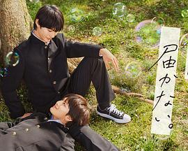 国产作爱视频免费播放